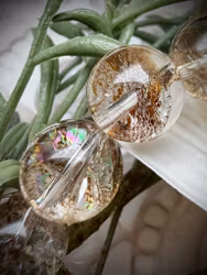 Dendritisk Kvarts Armband | 12 mm