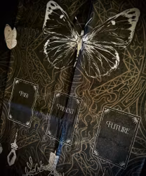 Ancient Witch Witch’s Garden Tarotduk