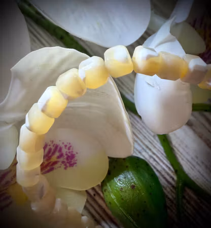 Naturlig Snäcka Armband | 4 mm