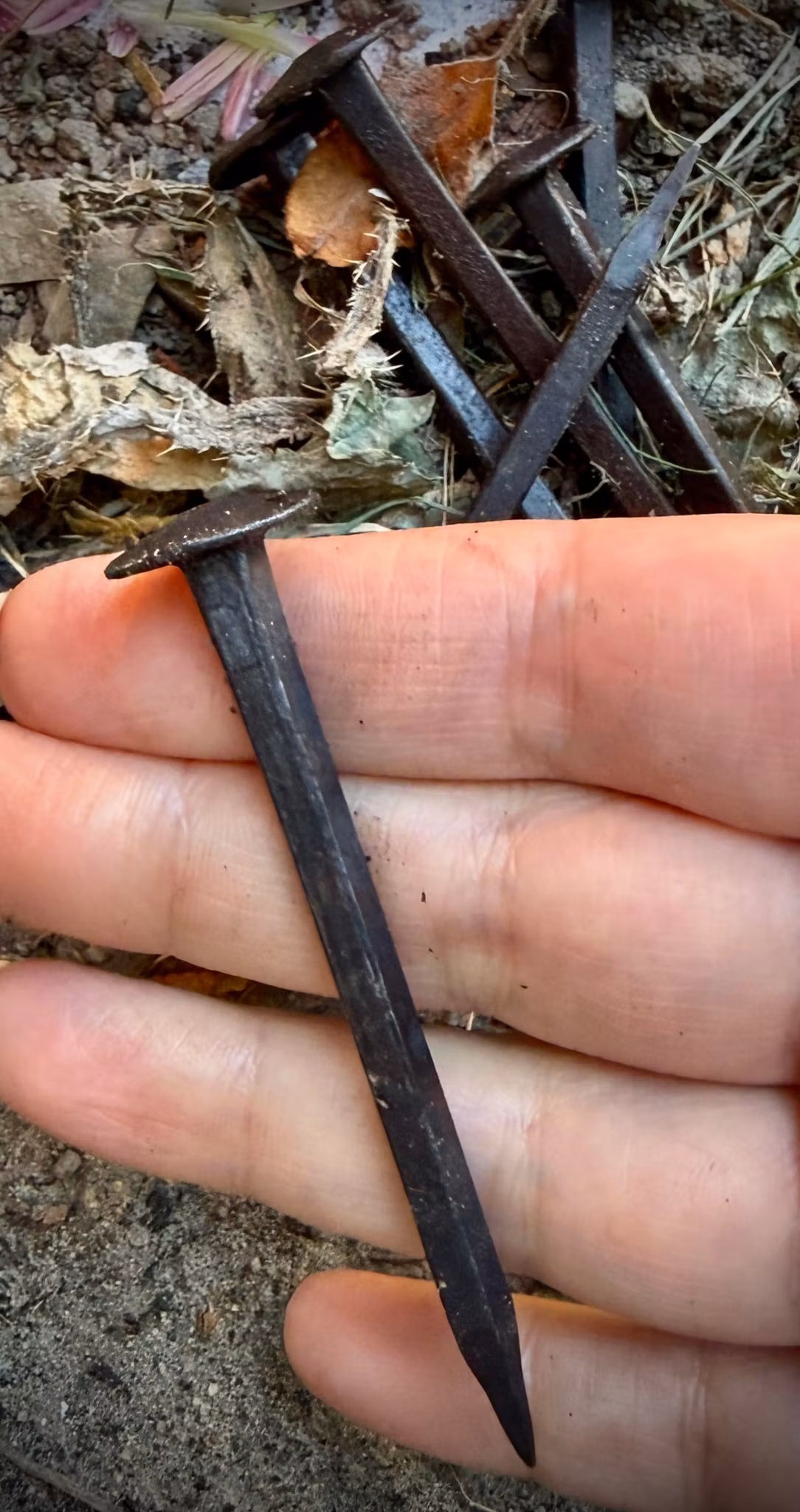 Handsmidda kistspik i Järn | 7-7,5 cm