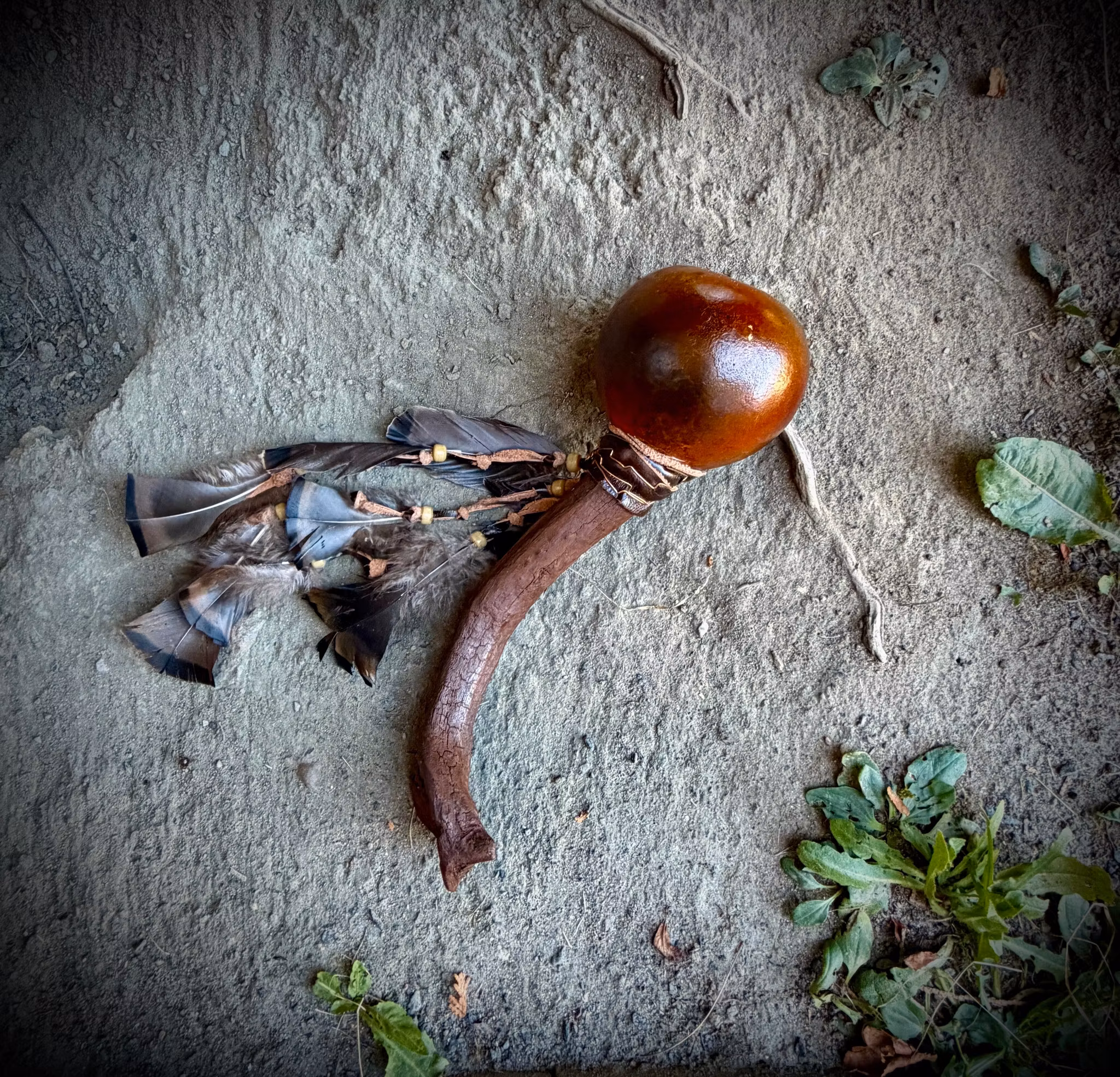 Shamanskallra Siouxreservatet USA