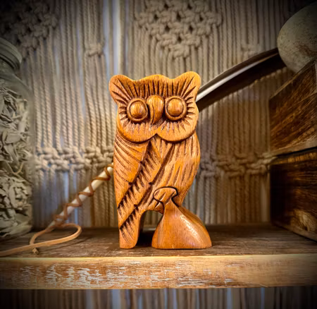 Magic Box Owl | Indonesien