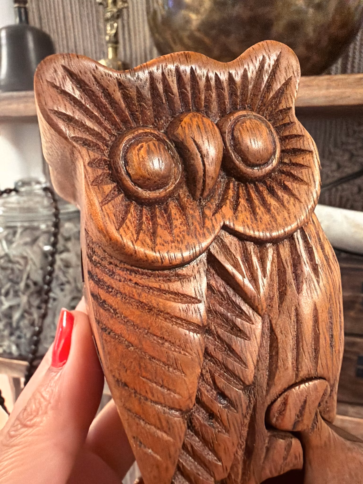 Magic Box Owl | Indonesien