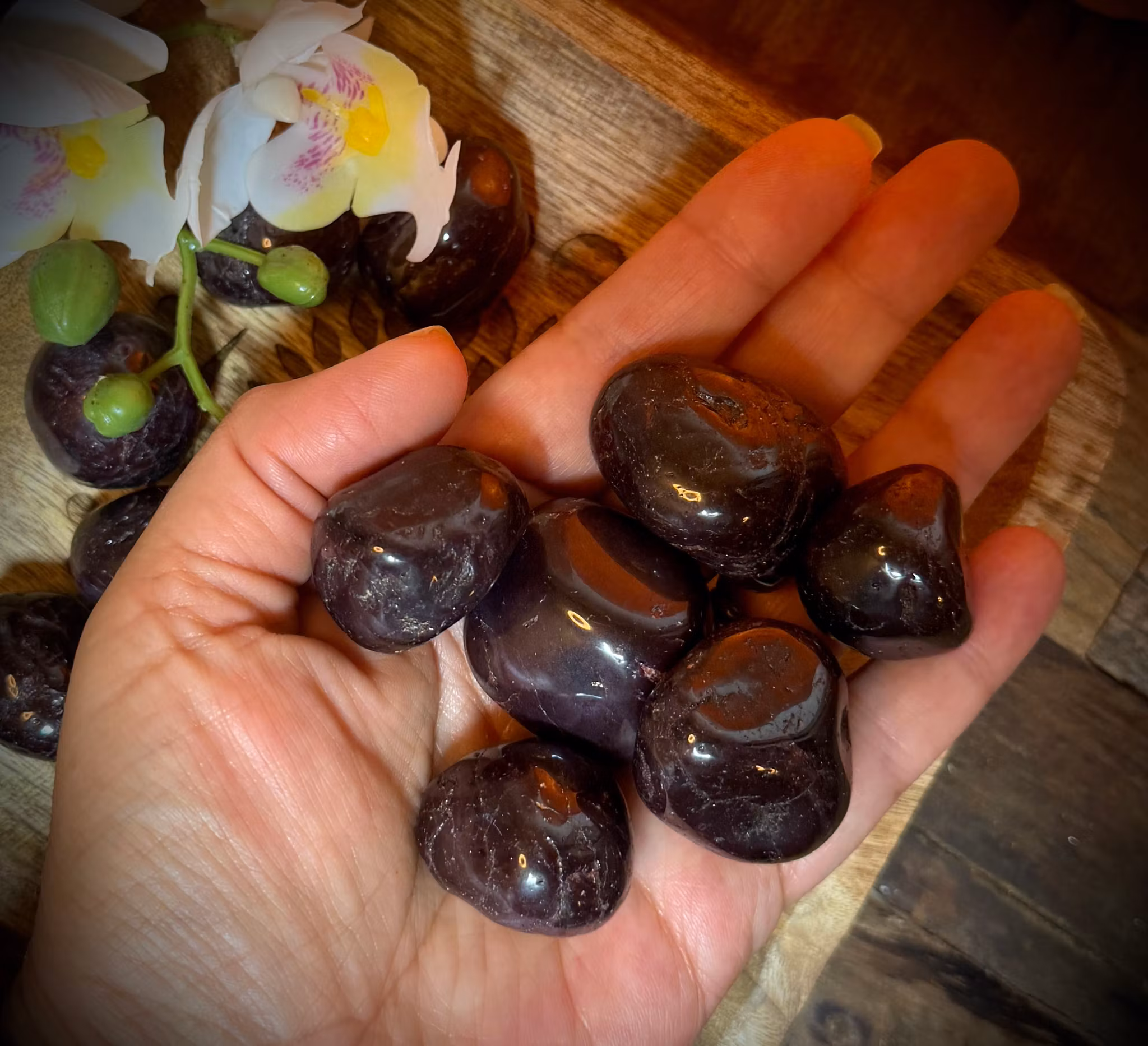 Polerad Röd Granat ( Almandin ) med Asterism