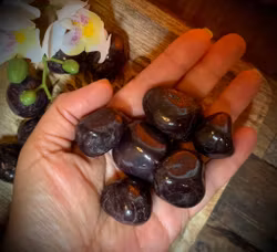 Polerad Röd Granat ( Almandin ) med Asterism