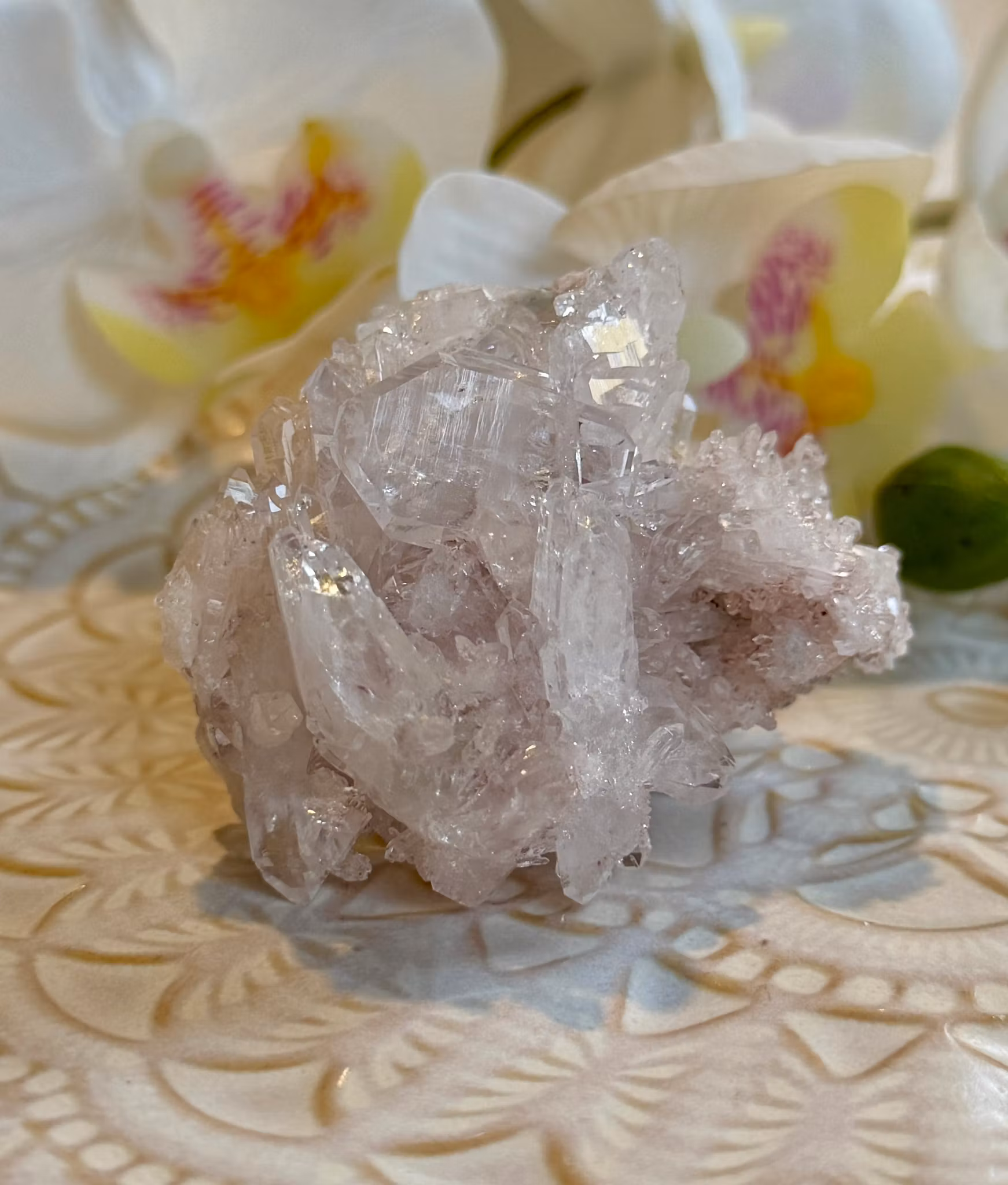 Sällsynt Colombiansk Rosa Lemurian Kluster med Fadenkvarts HK ( Samlarobjekt )