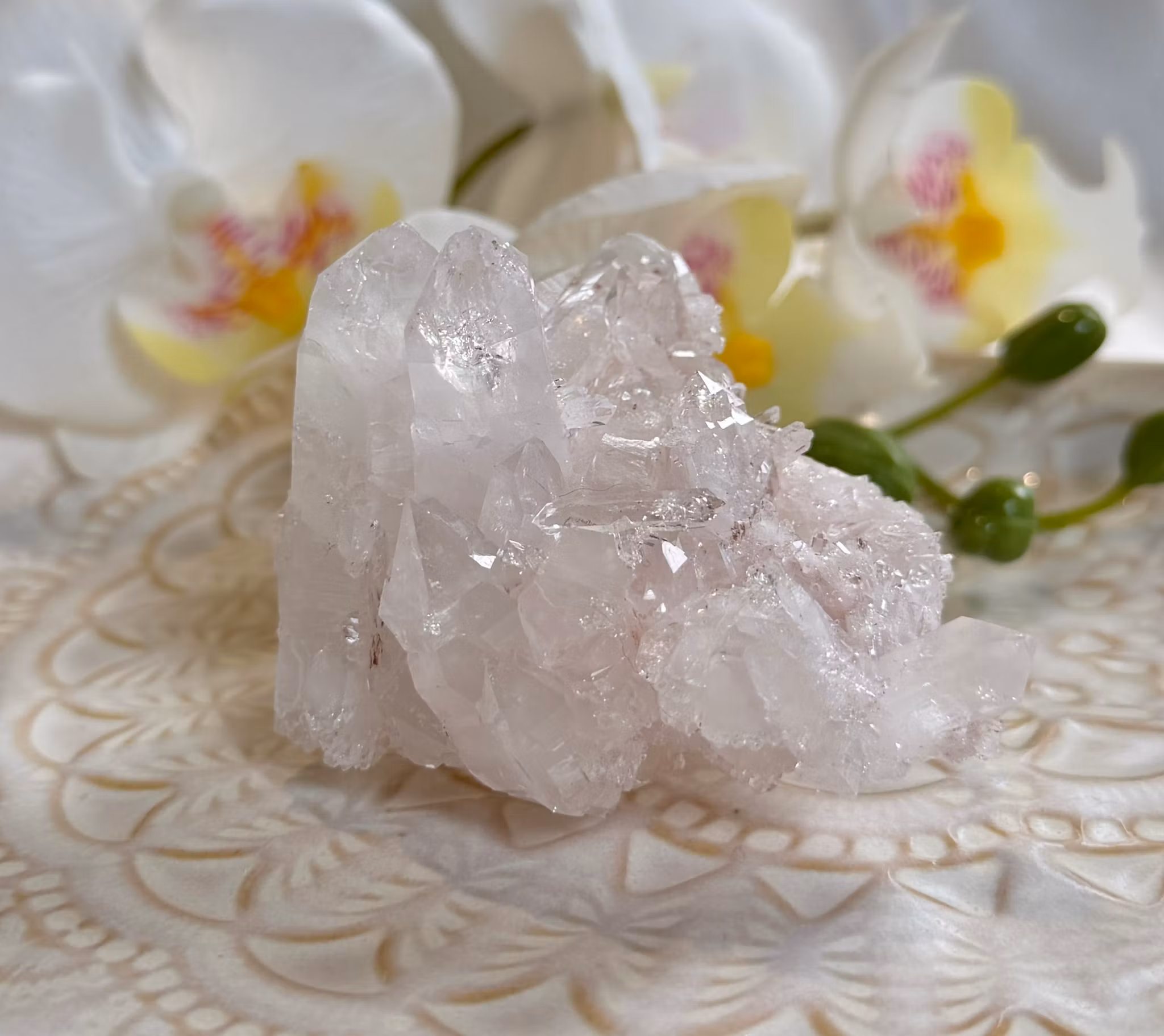 Sällsynt Colombiansk Rosa Lemurian Kluster HK ( Samlarobjekt )