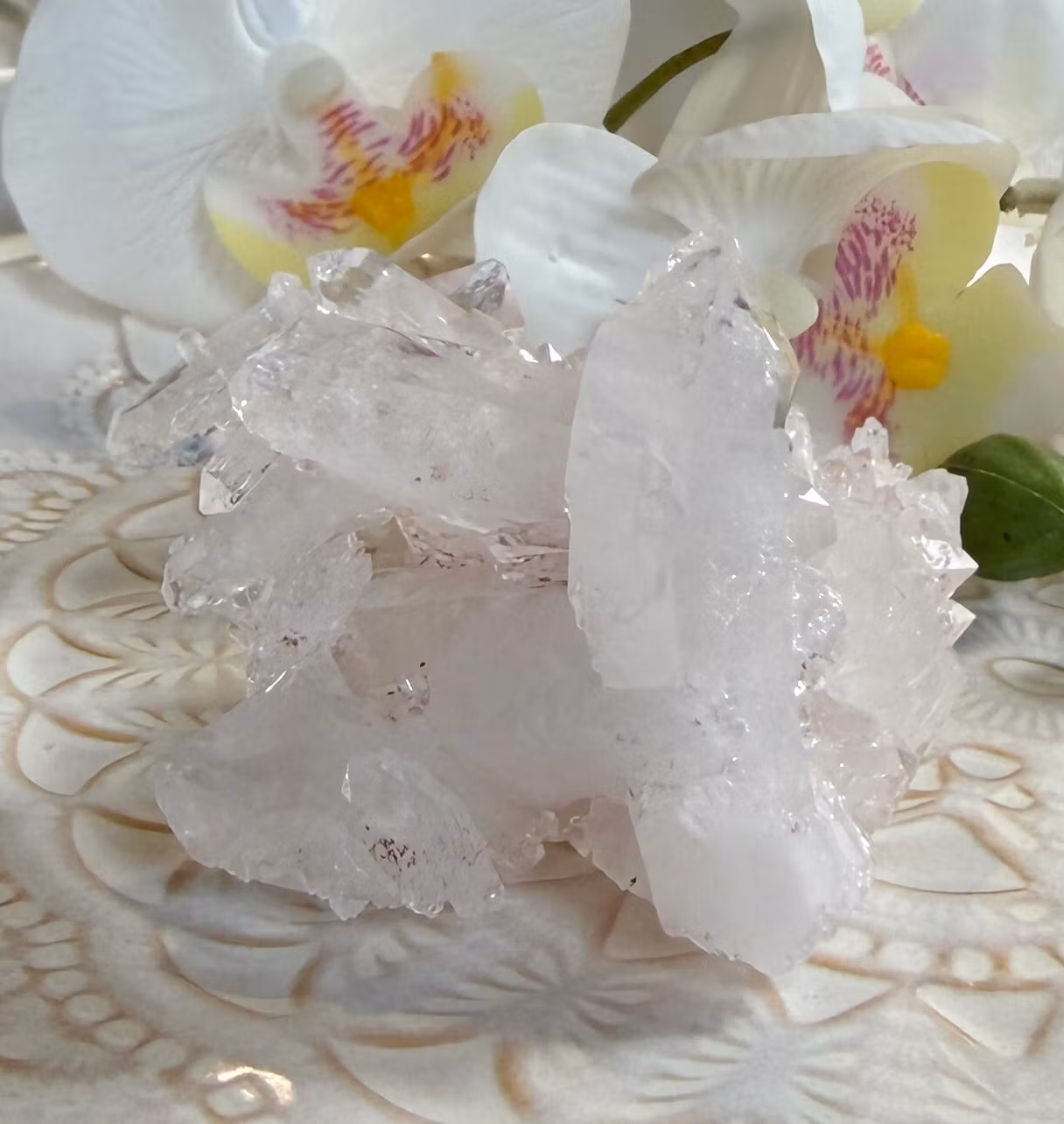 Sällsynt Colombiansk Rosa Lemurian Kluster HK ( Samlarobjekt )