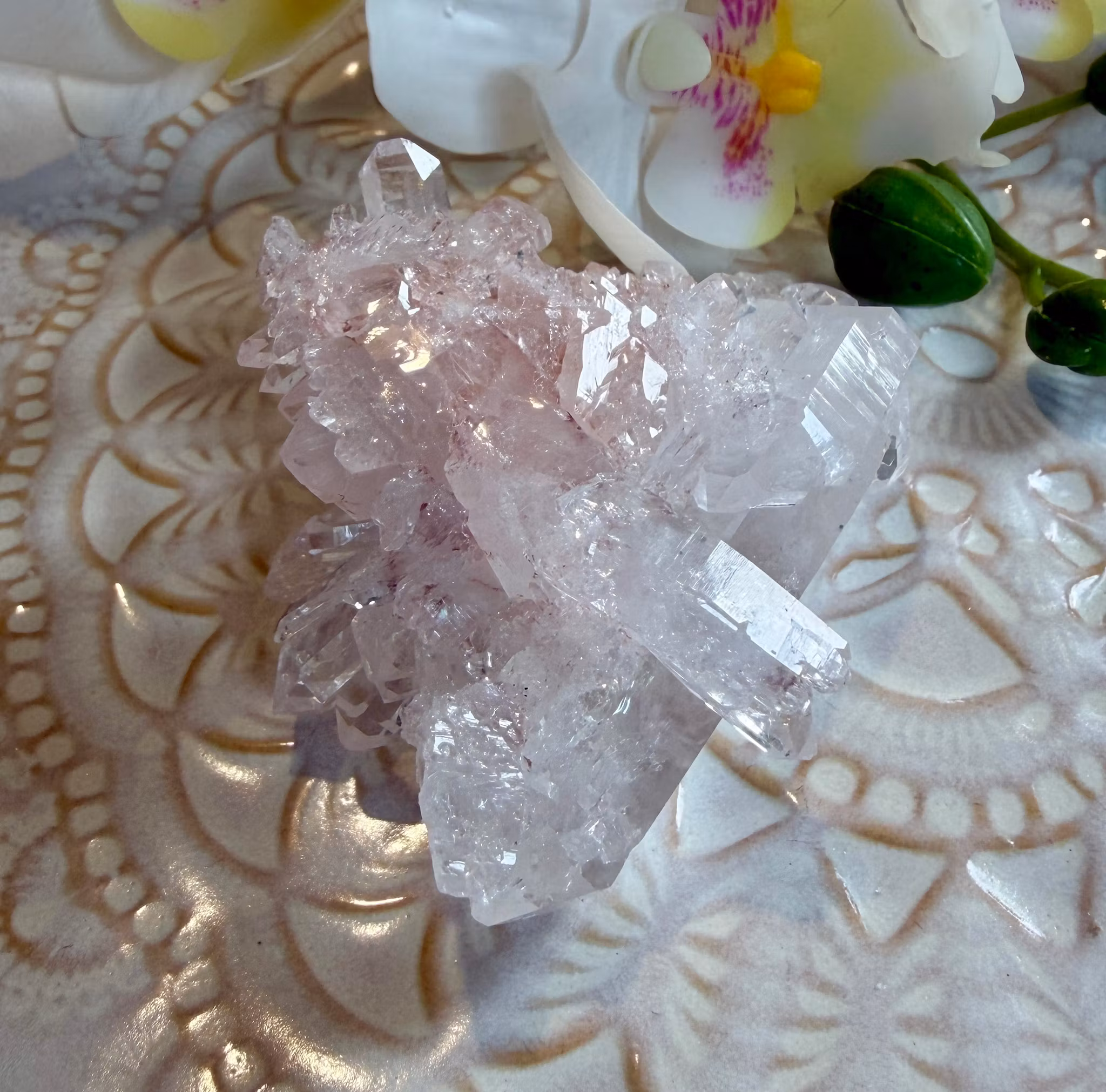 Sällsynt Colombiansk Rosa Lemurian Kluster HK ( Samlarobjekt )
