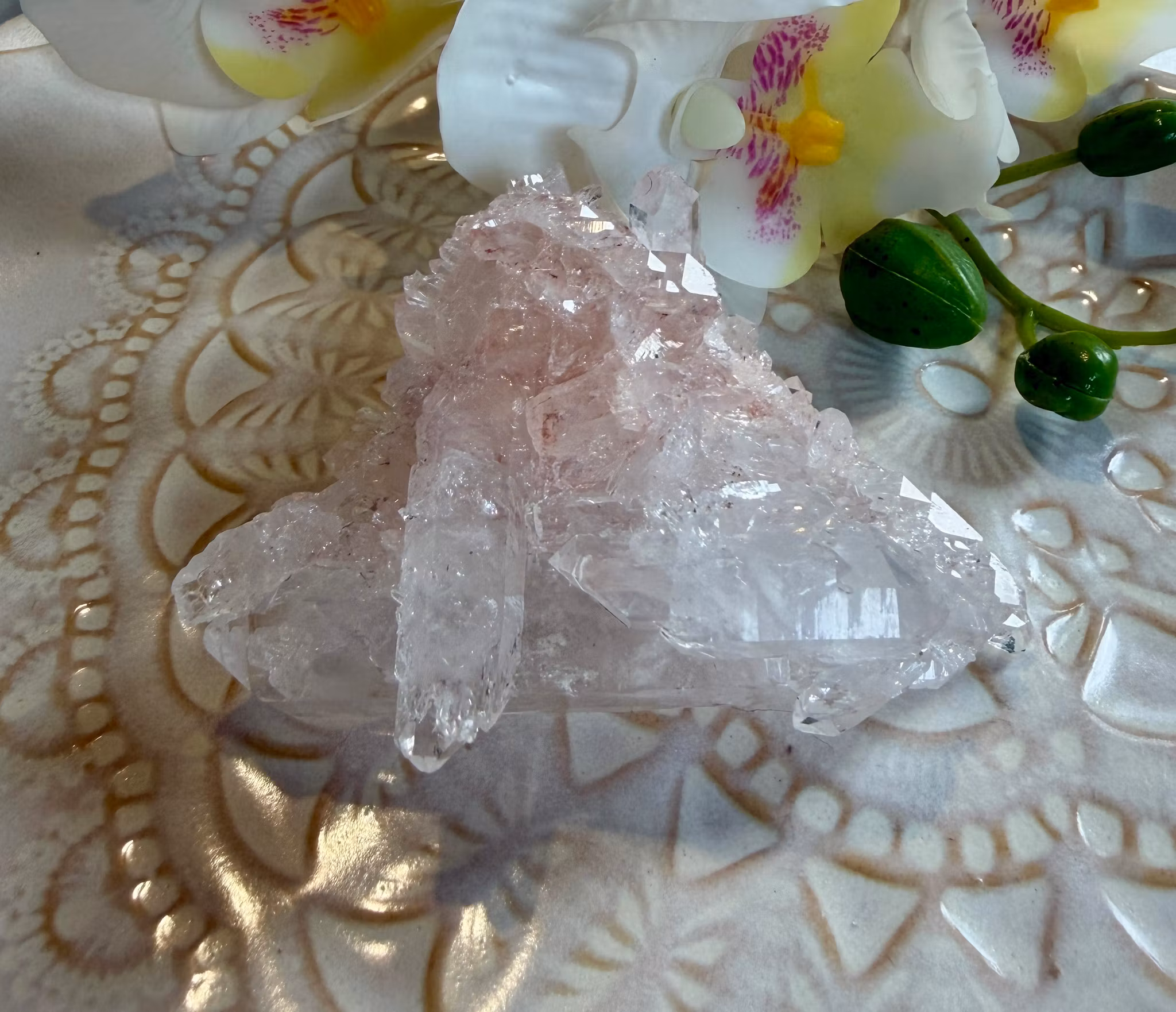 Sällsynt Colombiansk Rosa Lemurian Kluster HK ( Samlarobjekt )