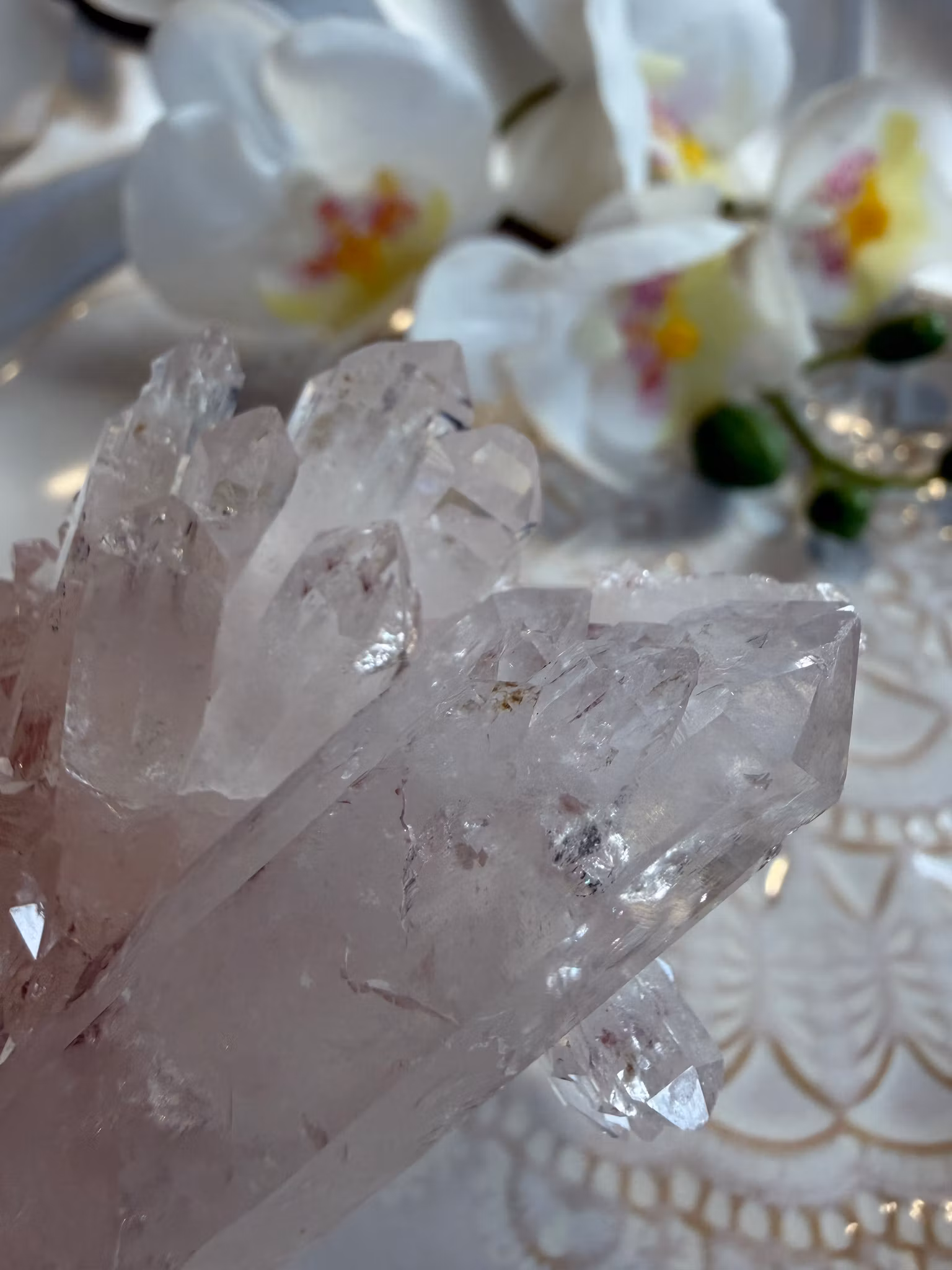 Sällsynt Colombiansk Rosa Lemurian Kluster HK ( Samlarobjekt )
