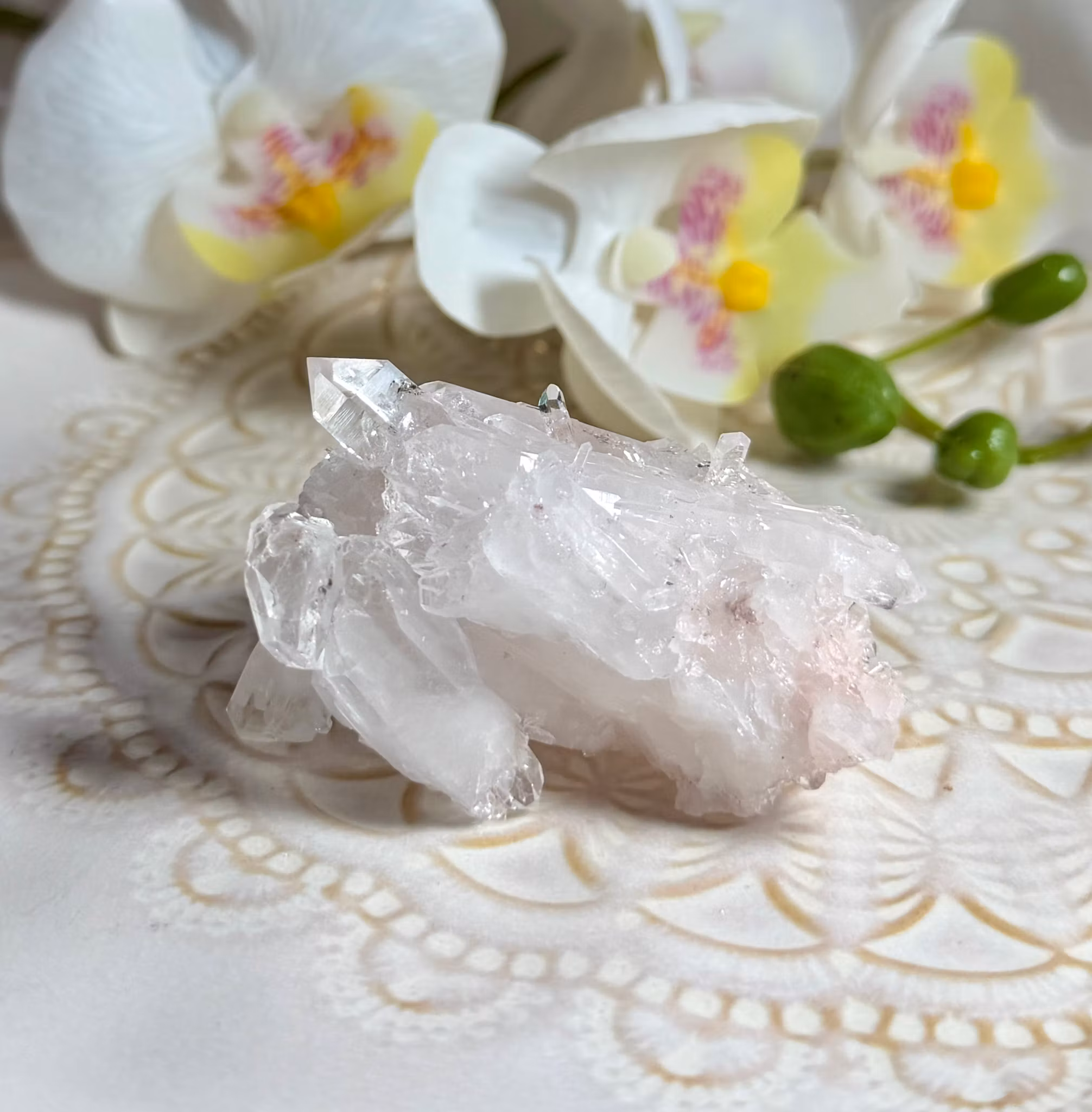 Sällsynt Colombiansk Rosa Lemurian Kluster HK ( Samlarobjekt )