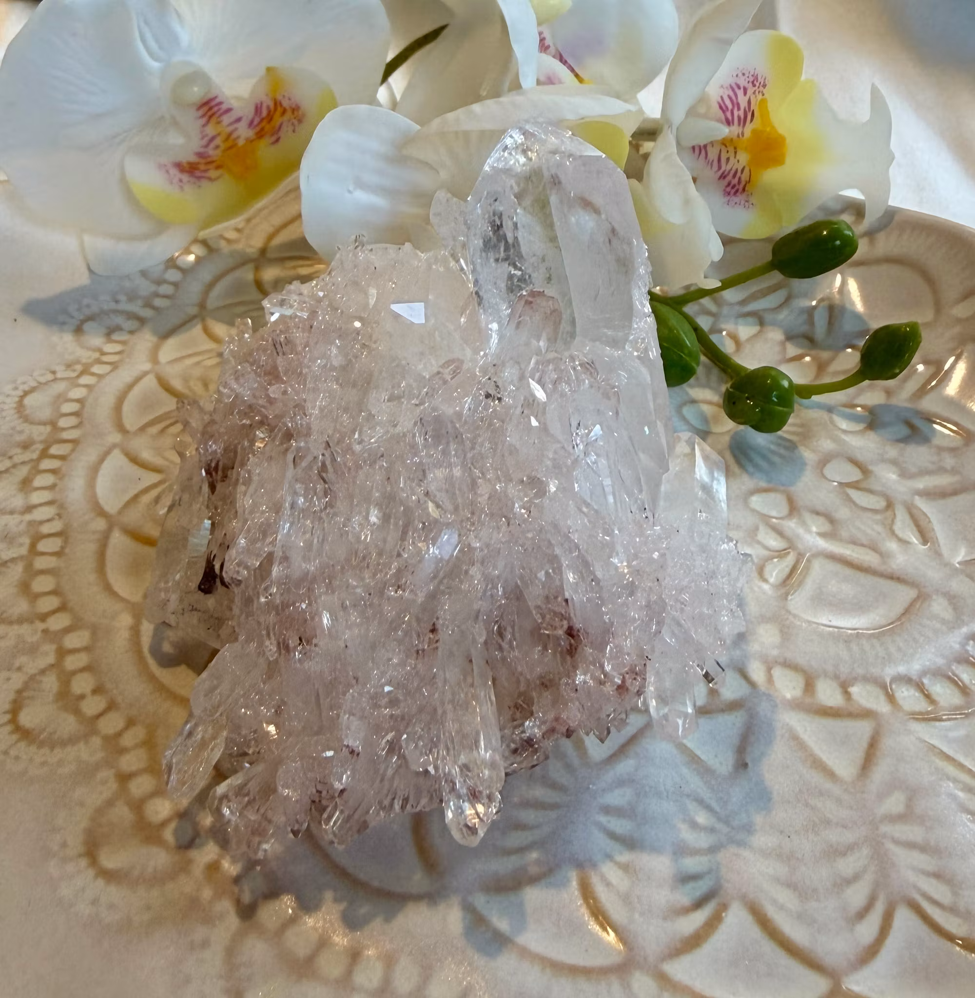 Sällsynt Colombiansk Rosa Lemurian Kluster HK ( Samlarobjekt )