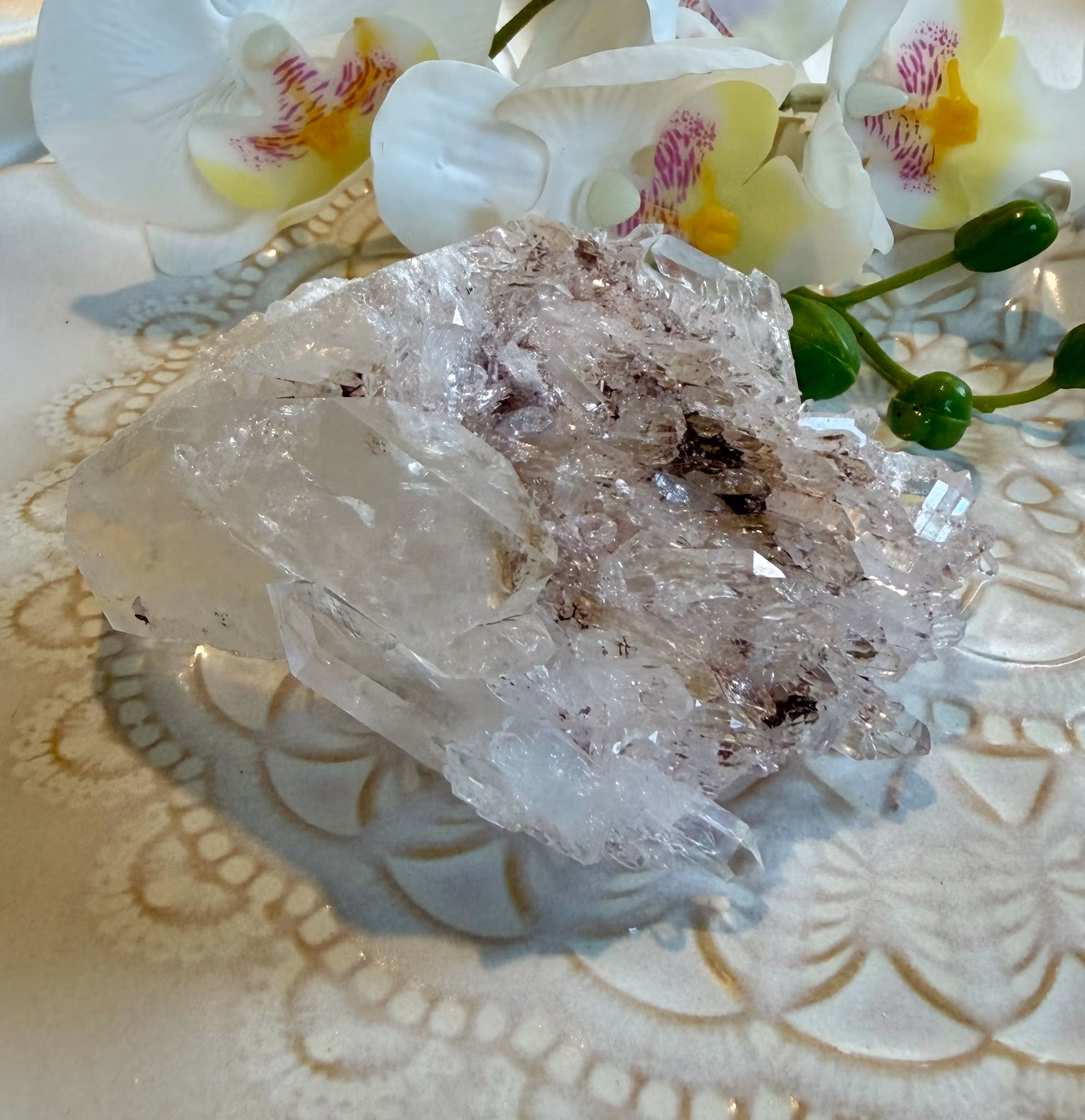 Sällsynt Colombiansk Rosa Lemurian Kluster HK ( Samlarobjekt )