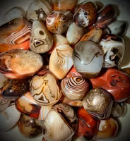 Polerad Sardonyx