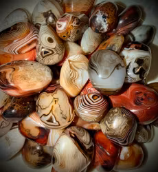 Polerad Sardonyx