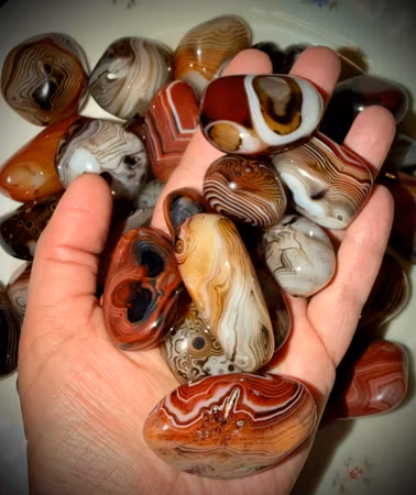Polerad Sardonyx