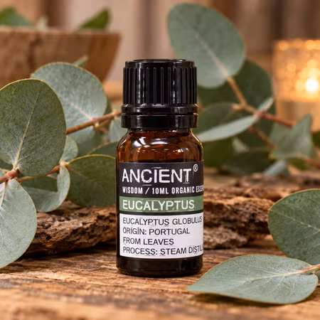 Ekologisk Eterisk Olja Eucalyptus