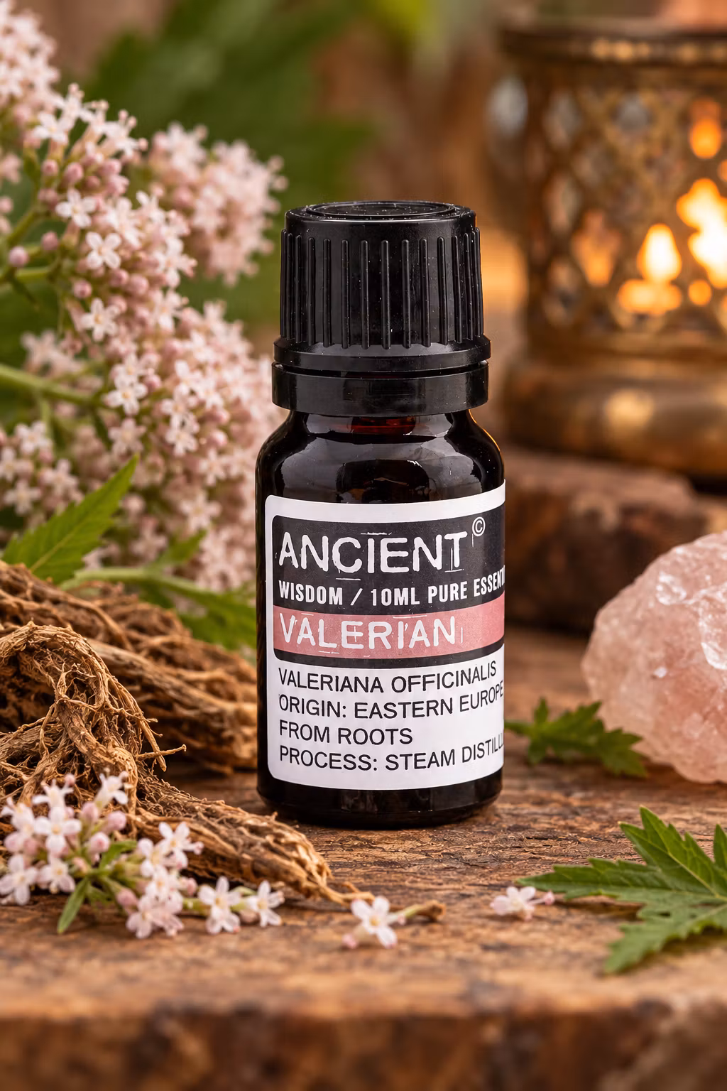 Valeriana Eterisk olja 10ml