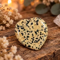 Dalmatinerjaspis No Worry med fördjupning för tummen
