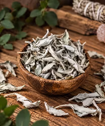 PREMIUM ECO Kalifornien Vit Salvia kluster 10g