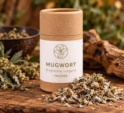 Mugwort Örtrökelse