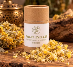 Dwarf Evelast Örtrökelse