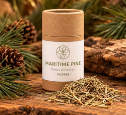 Mexican Maritime Pine Örtrökelse