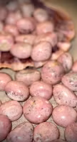 Rhodokrosit Cuddle