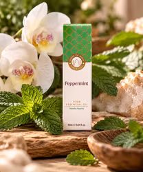 SONG OF INDIA Eterisk Olja Pepparmint