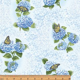 Hydrangea Fresco Blue