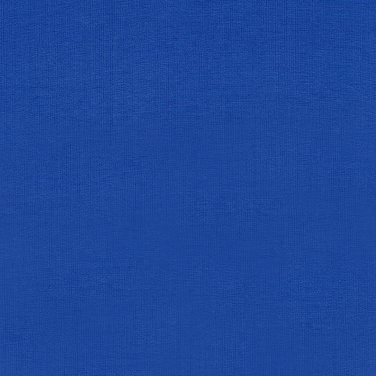 Royal blue jersey