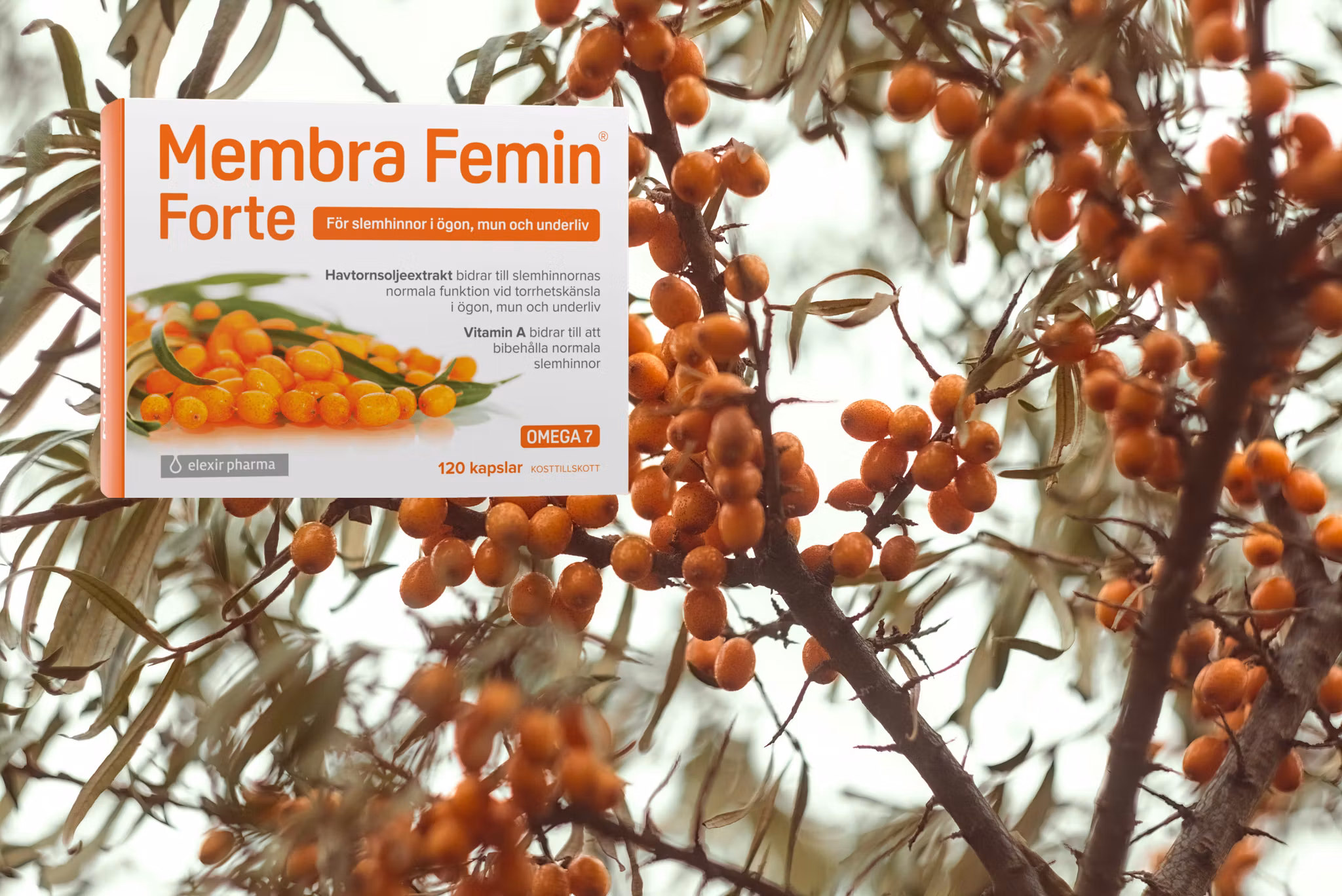 Kopia Elexir Membra Femin Forte 120 kapslar