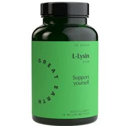 Great Earth L-Lysine 500 mg 120 capsules