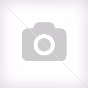 NMK Flygrostborttagare