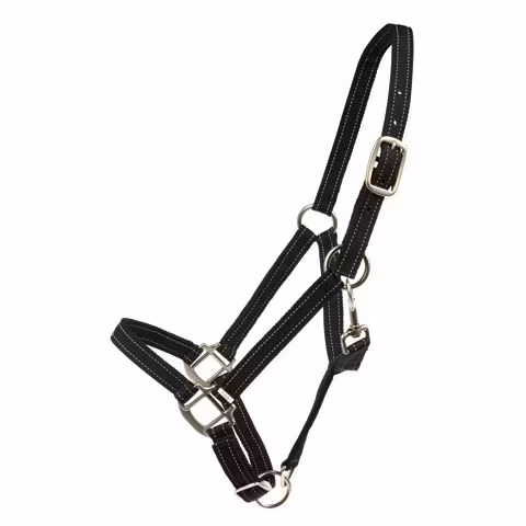 Grimma Reflex
