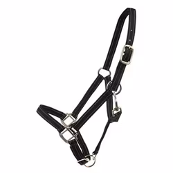 Grimma Reflex