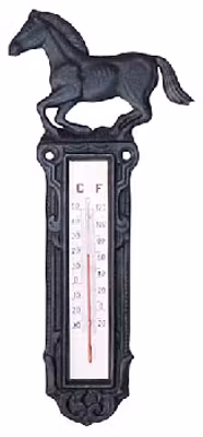 Termometer i gjutjärn