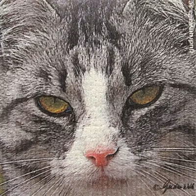 Disktrasor med kattmotiv