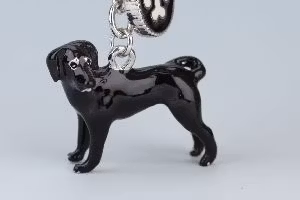 Doggy Love - Labrador