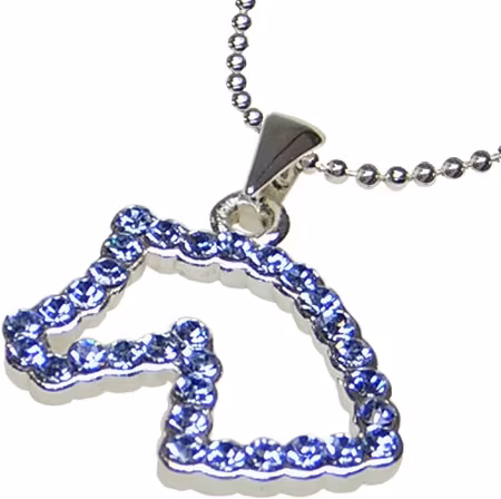 Halsband Brilliant Blå