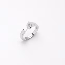 Ring Söm