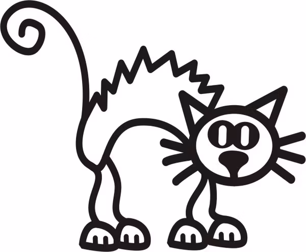 Rädd katt