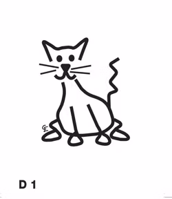 Katt