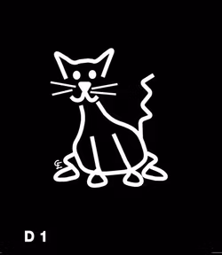 Katt
