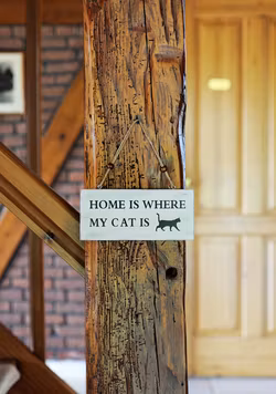 Träskylt Cat