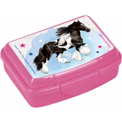 Mini Snackbox