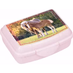 Mini Snackbox