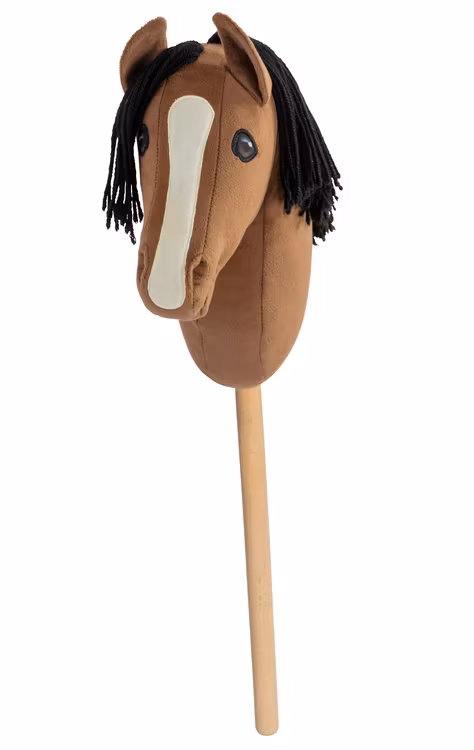 Käpphäst Charlie från Cheval Roi