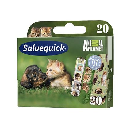 SALVEQUICK Animals 20 St